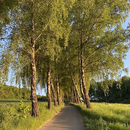 32 Ferienpark, Im Gruenen Paradies Nahe Wanderwegen Und Radstrecken Erholung Pur Im Teutoburger Wald Нихайм